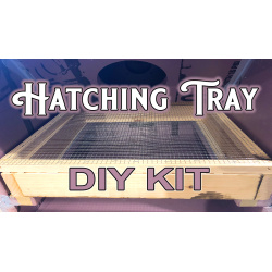 Hatching Tray